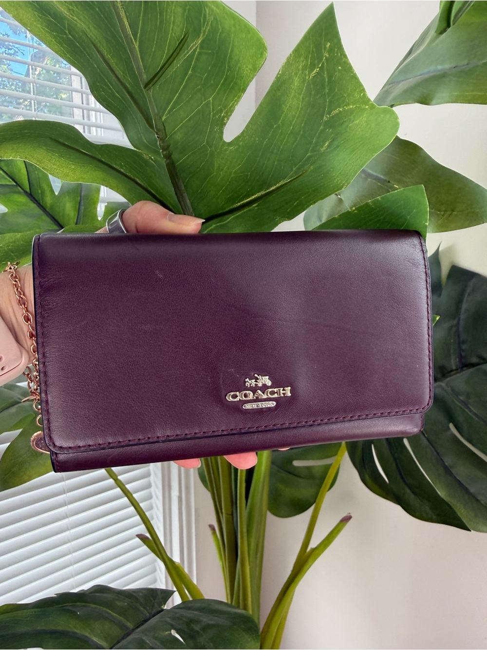 Coach Plum Leather Clutch with Gold Hardware